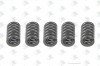 ER 88530872 Пружина — 1