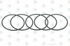 ER 95531891 Кольцо уплатнительное 74*3 — 1