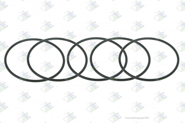 ER 95531891 Кольцо уплатнительное 74*3 — 1