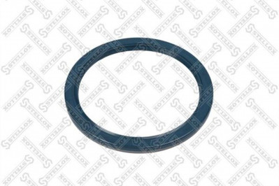 8101358SX Сальник ступицы 145*175*14