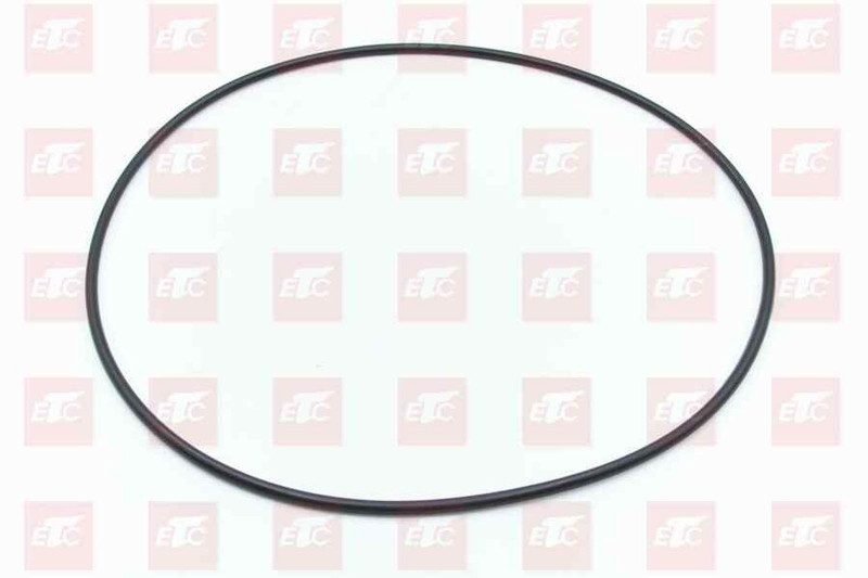 MQ6-56341-4254 Кольцо уплотнительное бортового редуктора 255*5 — 1