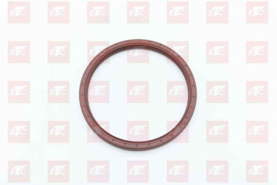 WG4095415044 Сальник