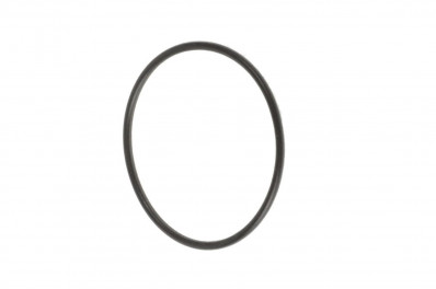 ER 74171008 Кольцо