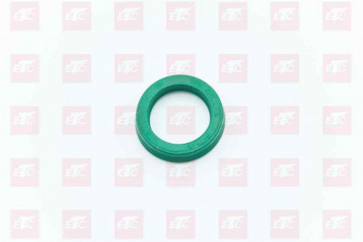 F34B290260 Уплотнительное кольцо