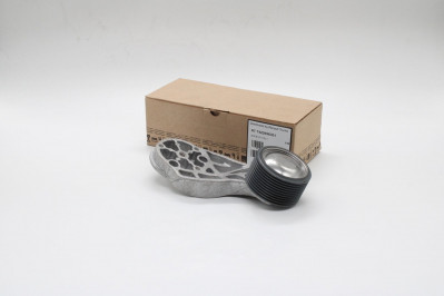 7422696301 Натяжитель ремня вентилятора в сборе