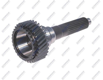 K10.04042 Вал первичный