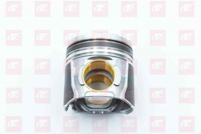 202V02511-0683 Поршень D=126mm