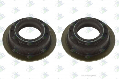 ER 95531565 Сальник штока 22*36*14.5