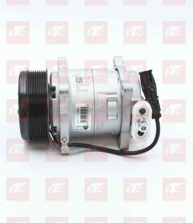 200V779707028 Компрессор кондиционера — 1