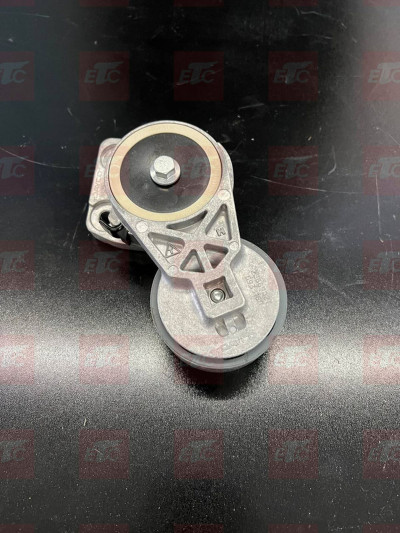 VO 23669027 Натяжитель ремня