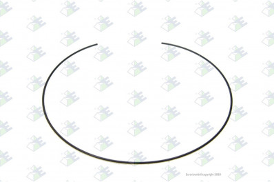 ER 60531198 Кольцо блокировочное