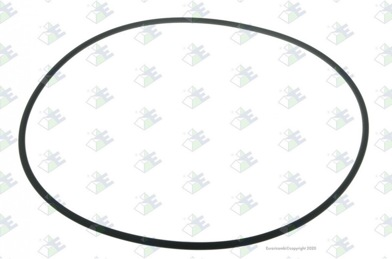 ER 60171584 Кольцо 255*5 MB 0279972248 — 1