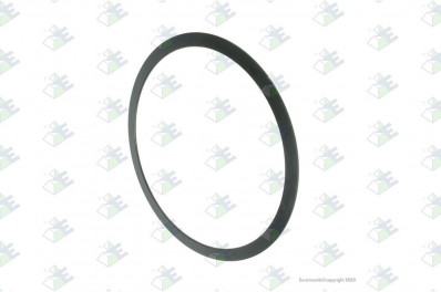 ER 88530522 Кольцо пружинное