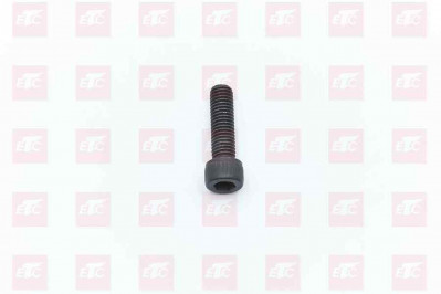 MQ6-02191-0511 Болт с внутр. шестигр. M10*1,5*35