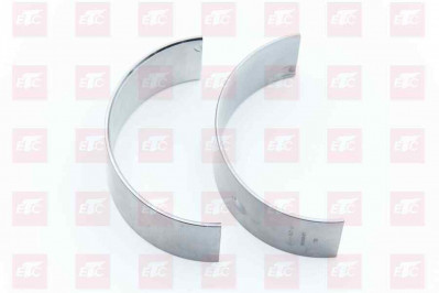 201V02410-6698 Вкладыши шатунные