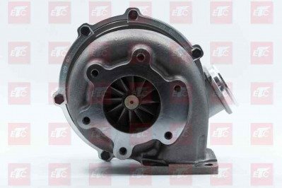 PT51091007925 Турбокомпрессор D2066LF