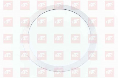 710W90760-0323 Регулирующая прокладка 1.2