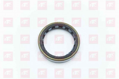 WG9761349008 Сальник