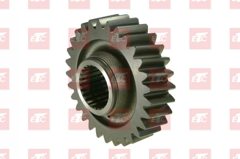 ER 74170884 Шестерня дифферинциала Z=29 — 1