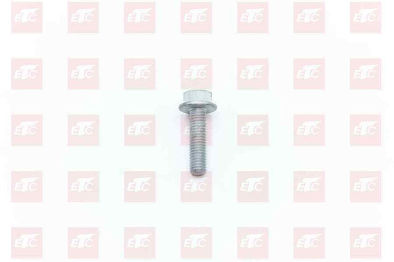 MQ6-03216-8306 Шестигранный фланцевой болт — 1