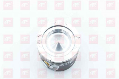 202V02511-0683 Поршень D=126mm