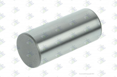 ER 95536377 Ось сателлитов