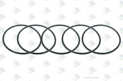 ER 95534675 Кольцо уплотнительное ZF 0634313067