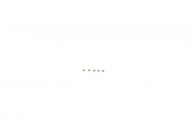 F00ZC99733 Шайба регулировочная 1,11 мм