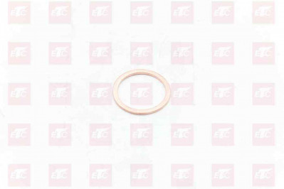 190003098026 Уплотнительное кольцо