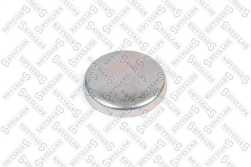 8904622SX Крышка шкворня — 1