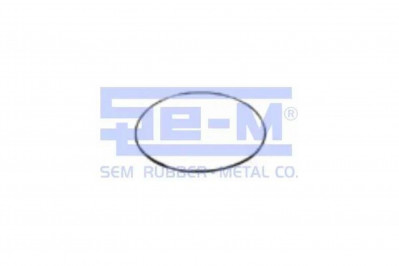 SEM 7319 Кольцо уплотнительное бортового редуктора MAN/MB 255*5