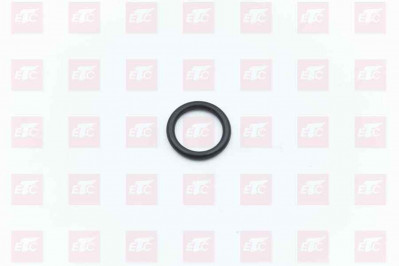 L913001900 Уплотнительное кольцо