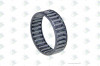 ER 98170050 Подшипник игольчатый 50*57*36 — 1