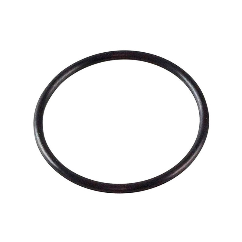 F00RJ00220 Кольцо уплотнительное форсунки — 1