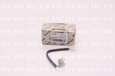 81274210176 Датчик перегрева для отопителя D3LC