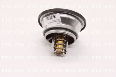 HD 102190 Термостат 82&deg;C