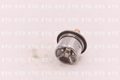 3076489 Термостат системы охлаждения