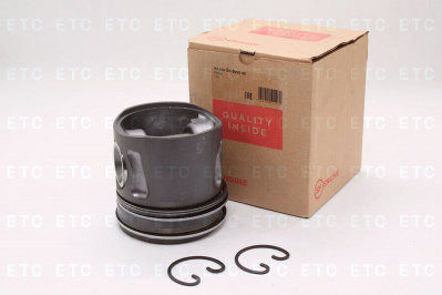 40595601 Поршнекомплект