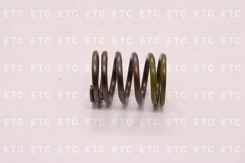 6162-43-4440 Пружина клапанная внешняя — 1