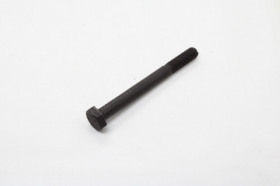 TW00079 Болт М10*100