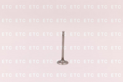 6N9916 Клапан выпускной