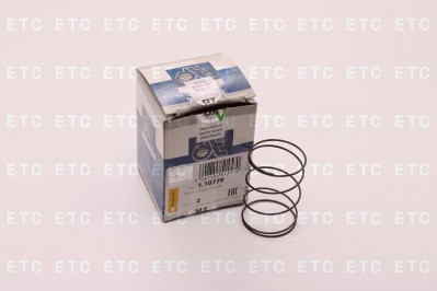 DT 110779 Пружина вентиляции картера