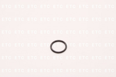 ZF 0634303198 Кольцо уплотнительное