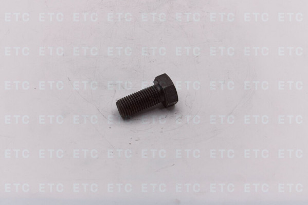 01010-52250 Болт крепления цапфы — 1