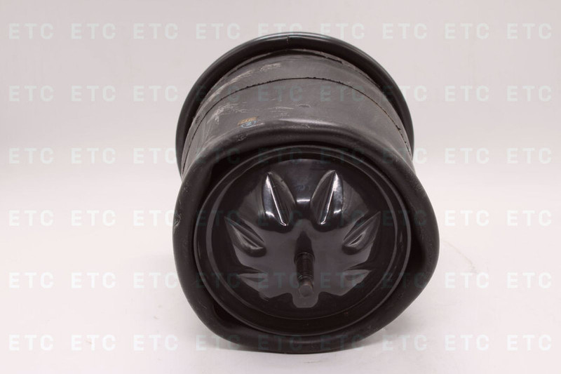 SEM 726418C Пневморессора в сборе — 2