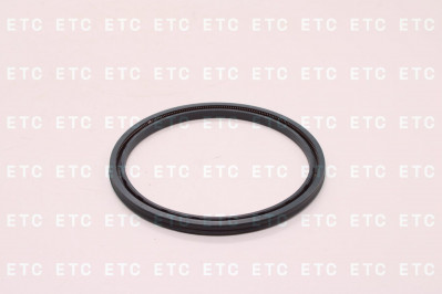 TR2501012 Уплoтнитeльнoe кoльцo