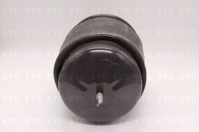 DT 262431 Пневморессора подвески