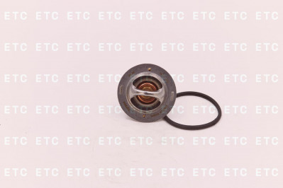 5256423 Термостат ISBe,ISDe,ISFe3.8