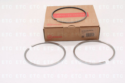 03020130001800 К-т колец компрессора D=100mm