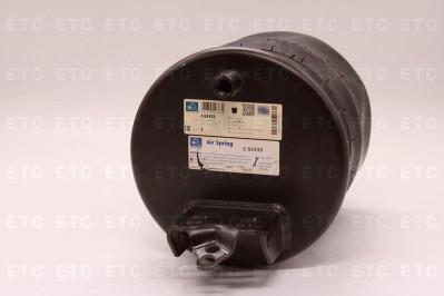 DT 262433 Пневморессора подвески